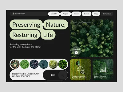 Eco Organization Website UI climate change concept design eco eco activists ecofriendly ecology hero page home page landing page minimal modern design planet protection plant ui uxui web web design website website design