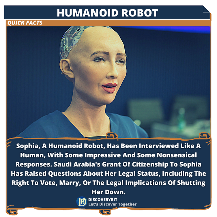 Sophia the Robot The Future of HumanRobot Interaction by DiscoveryBit