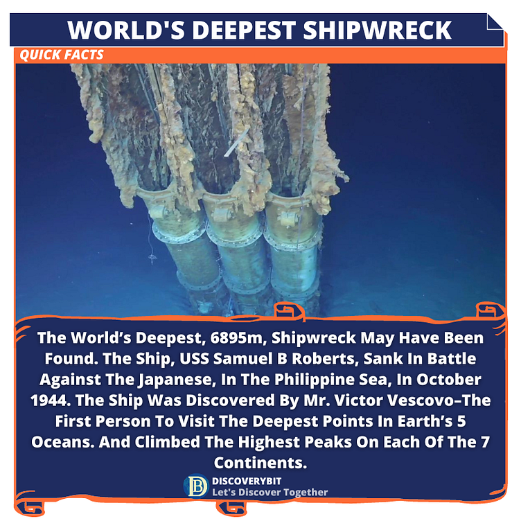 World's Deepest Shipwreck Found! by DiscoveryBit Facts on Dribbble