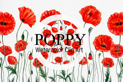 POPPY- clip art. app branding design graphic design illustration logo typography ui ux vector