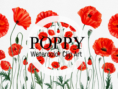 POPPY- clip art. app branding design graphic design illustration logo typography ui ux vector