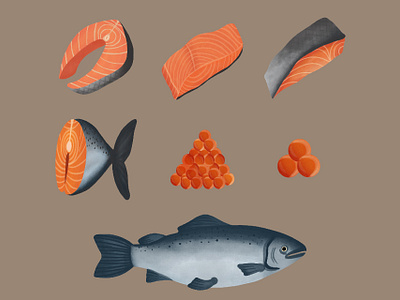 Salmon cartoon cut cute design element fish graphic design illustration salmon seafood