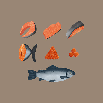 Salmon cartoon cut cute design element fish graphic design illustration salmon seafood
