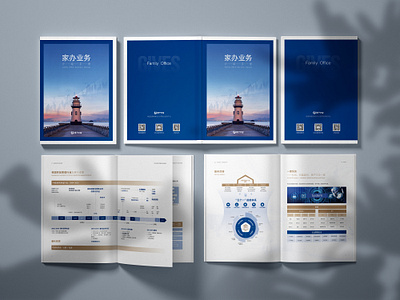Family office business brochure graphic design