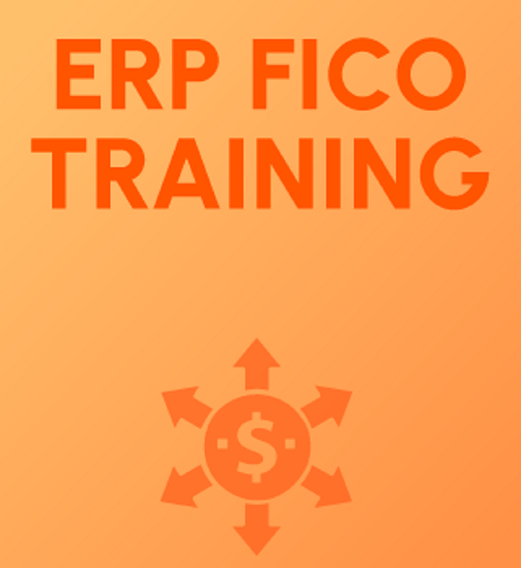 erp-sap-fico-training-in-noida-by-ashishthakur-on-dribbble