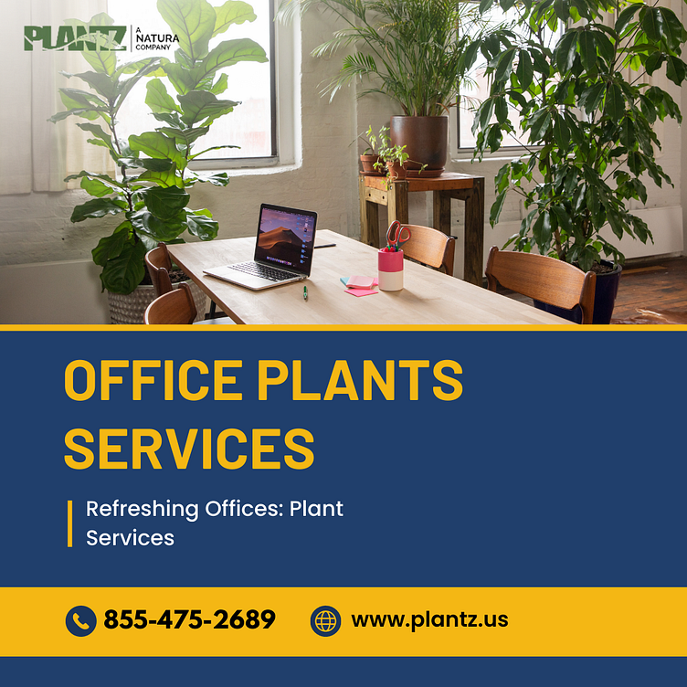 Office Plants Services by PLANTZ on Dribbble