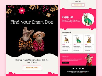 Pets Christmas email template christmas email design email designer email template design figma fiverr fiverr email designer freelancer html html email html email signature html email template pet pet email template pets christmas email template pets email upwork upwork email designer