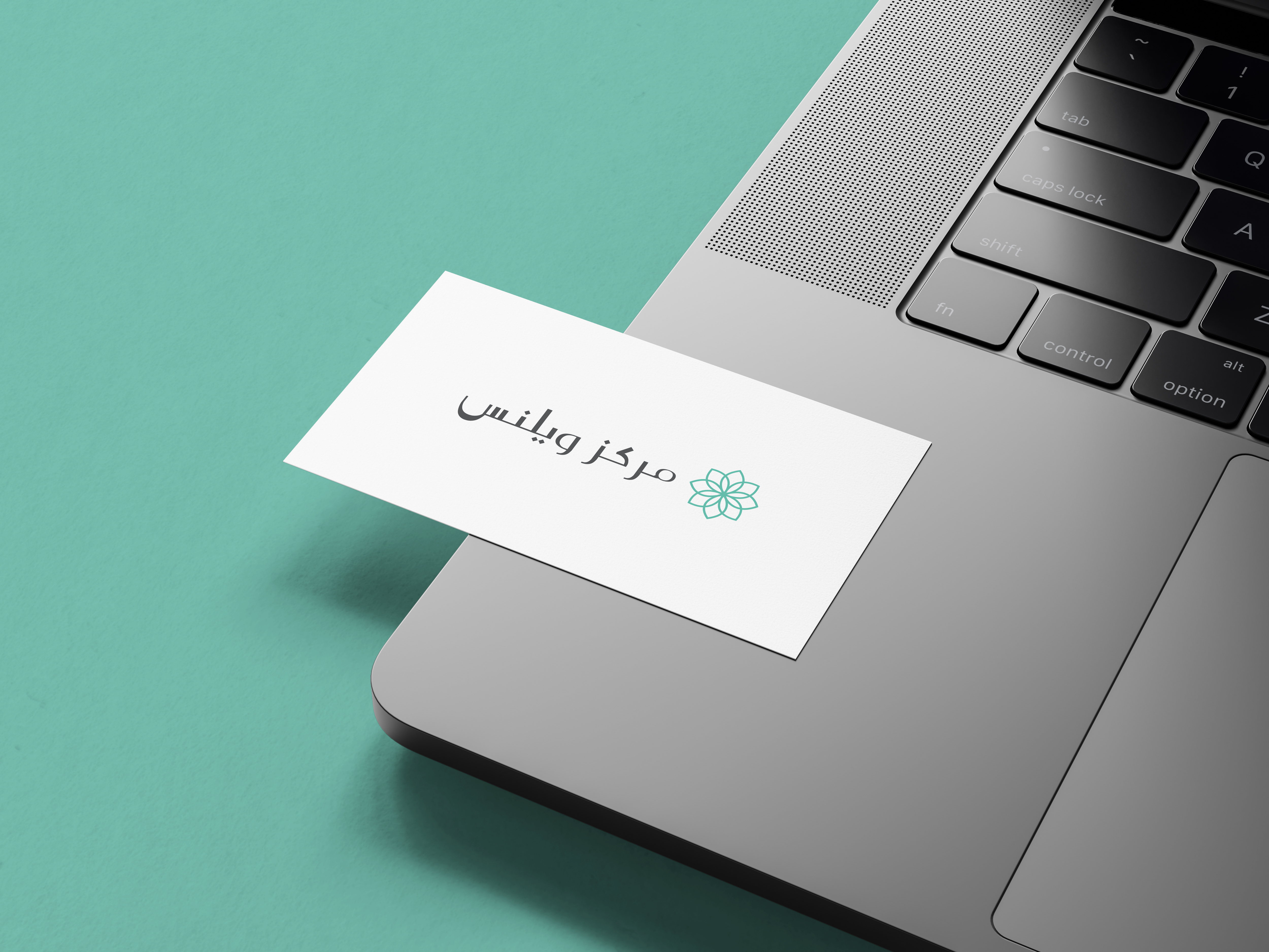 Logo, Logo Mark, Branding branding design graphic design icon illustration logo logodesign logoicon logomark logotyoe vector