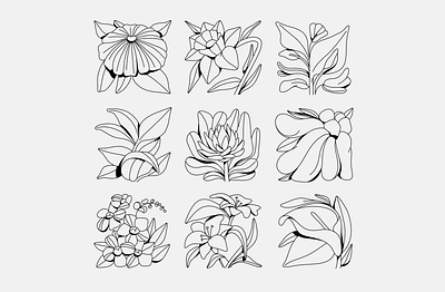 GARDEN art illustration design artists flowers garden graphic illustration magnolia outline summer