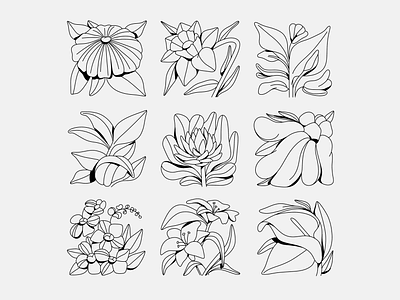 GARDEN art illustration design artists flowers garden graphic illustration magnolia outline summer