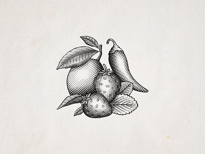 Fruits and Vegetables chipotle engraving etching fruits graphic design hand drawn illustration label design lemon line art strawberry woodcut