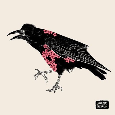 Birds & Flowers - The Rook anotheroutsider bird illustration birds cherry blossom corvid illustration personal project print