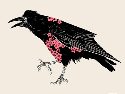 Birds & Flowers - The Rook anotheroutsider bird illustration birds cherry blossom corvid illustration personal project print