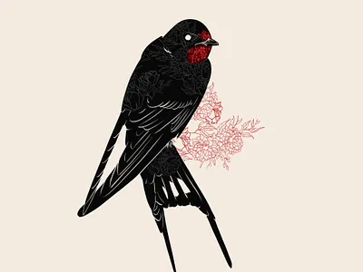 Birds & Flowers - The Swallow anotheroutsider bird illustration birds chrysantemum illustration print swallow