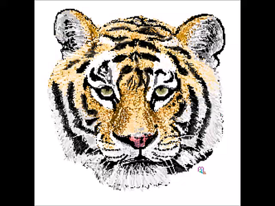 tigre animal dibujo drawing graphic design illustration paint tigre