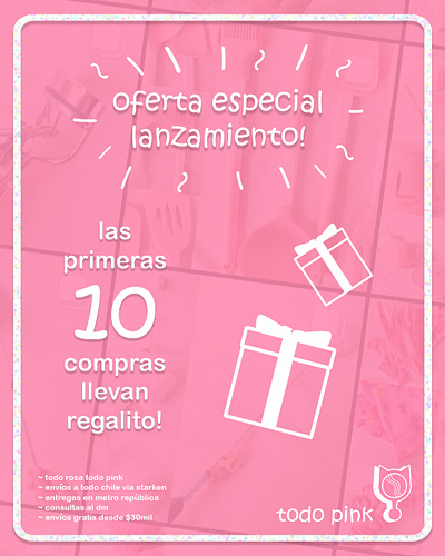 Todo Pink and Bday Flyers app bilingual branding design event graphics filters graphic design icons illustration layers logo masking photoshop text masking typography vector