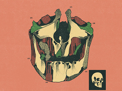 Fig. VI book cartoon cd character cover design graphic design illustration music skull texture vector vinyl