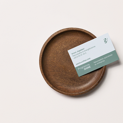 corporate naturopath branding branding business card logo