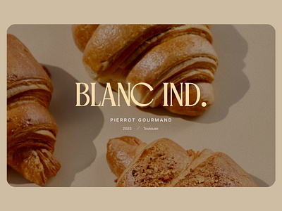 Blanc Ind. branding design graphic design logo vector