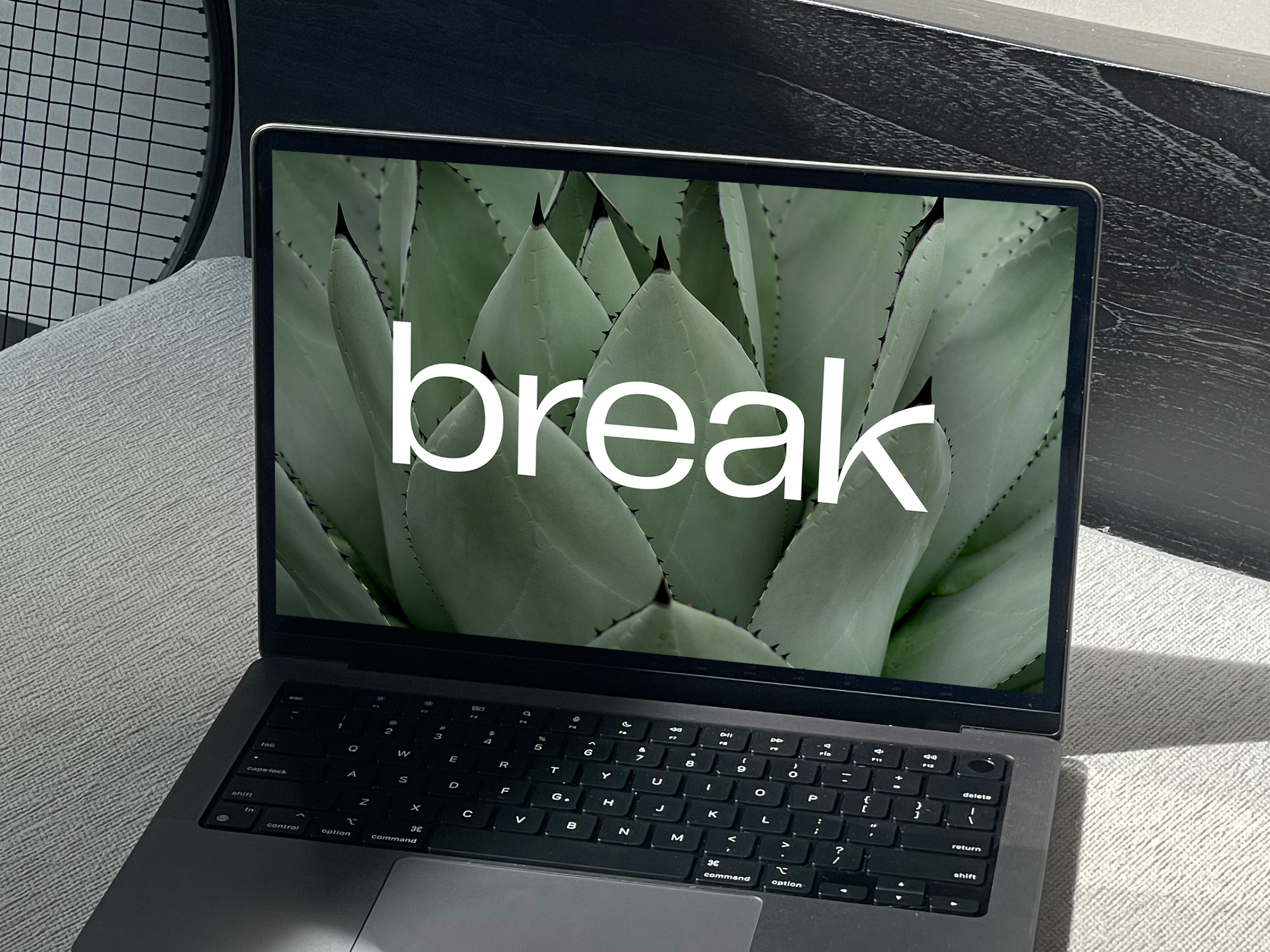 break branding design graphic design logo typography vector