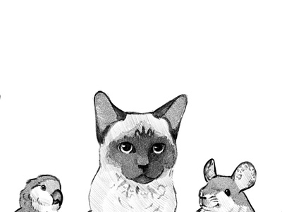 Арты book design graphic design illustration арт графика девушка картинки кот растровая фотошоп черепа