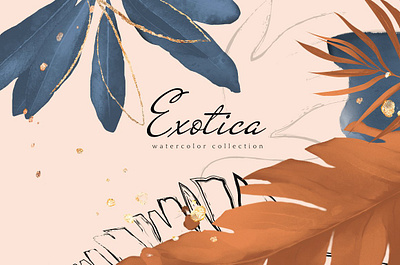 Exotica app branding design graphic design illustration logo typography ui ux vector