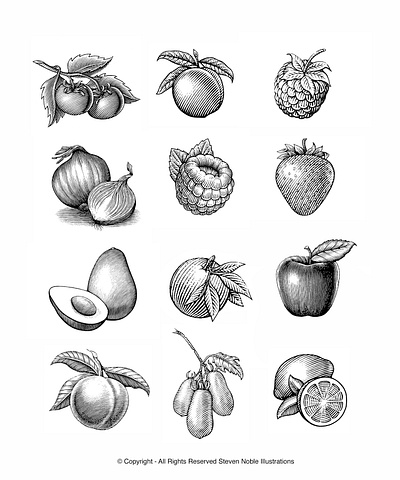 Vegetables & Fruits Illustrated by Steven Noble art artwork design engraving etching food fruit illustration illustrator ink line art linocut logo scratchboard spot steven noble vegetables woodcut