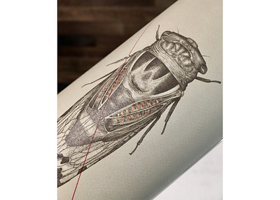 The Fableist Wine Label Illustrated by Steven Noble animals artwork design engraving etching illustration illustrator ink line art linocut logo scratchboard steven noble wine woodcut