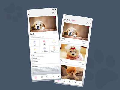 Animal care application administration animal animal application app design applia application care cat dog figma mobile design pet pet application pet shop pets shelter shelter applicatio shelter pet ui ui design