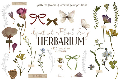 Herbarium app branding design graphic design illustration logo typography ui ux vector