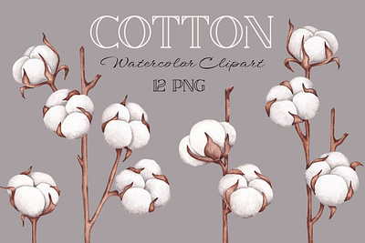 Watercolor Clipart “Cotton” app branding design graphic design illustration logo typography ui ux vector