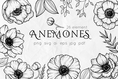 Anemones, Poppy flowers Line art app branding design graphic design illustration logo typography ui ux vector