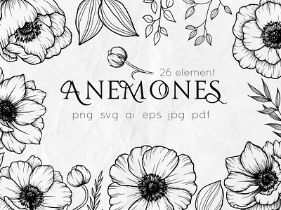 Anemones, Poppy flowers Line art app branding design graphic design illustration logo typography ui ux vector