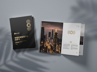 Brand album typesetting brand album typesetting brand publicity graphic design