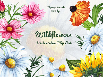 Wildflowers Watercolor Clipart app branding design graphic design illustration logo typography ui ux vector