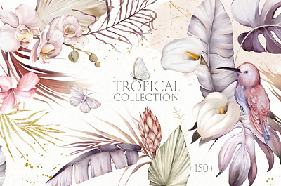 Tropical Collection app branding design graphic design illustration logo typography ui ux vector