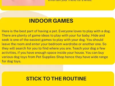 Tips to Keep Your Dog Happy Inside Your Home pet care pet products pet supplies