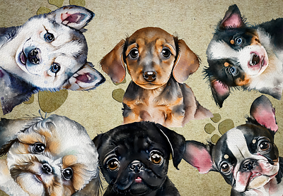 Little Pets Clipart Bundle clipart graphic design illustration little pets