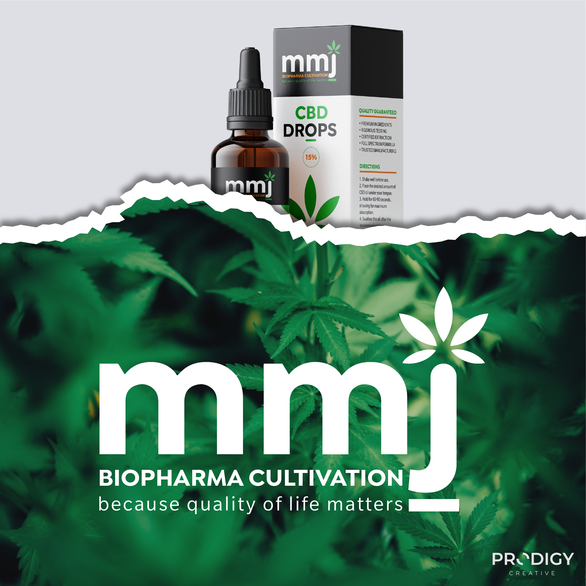 MMJ ✨ Visual Identity 🌿 brand design ideas brand designer brand ideas brand identity brand strategist brand strategy branding business cards business logo case study corporate brand design graphic design logo logo design minimal logo personal brand personal branding startup visual identity
