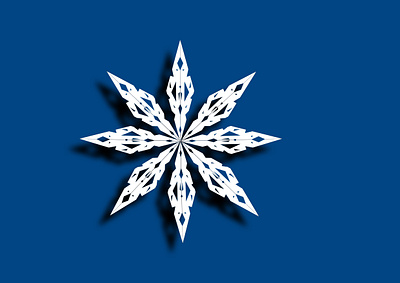 the snowflake illustration vector