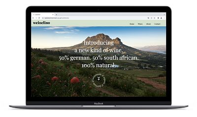 Wine brand website design graphic design webdesign