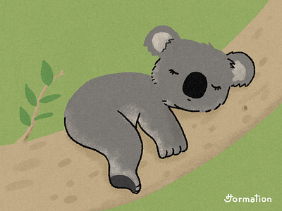Koalas sleep for 18 to 22 hours a day animal cartoon comic did you know fact of the day fun fact illust illustration koala koala bear koalas procreate random fact sleep wildlife