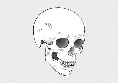 Skull bones design digital drawing graphic design illustration skeleton skull vector