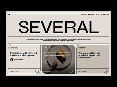 SEVERAL - Editorial Website Concept blog cms concept design designer editorial landing page minimalist modern portfolio ui ux web web design webdesign website