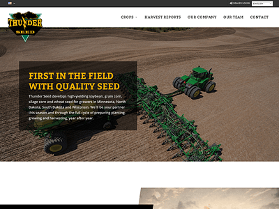 Thunder Seed - Web Design web design