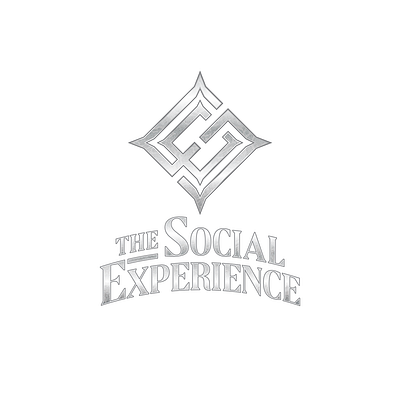 The Social Experience Identity branding identity logo logo design