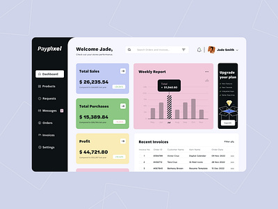 Paypixel Dashboard ✨ design graphic design illustration ui