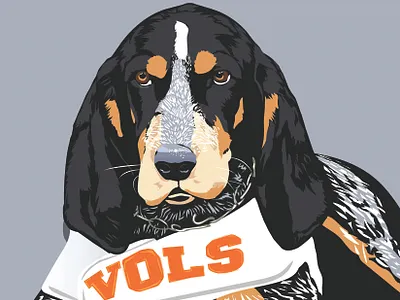 Smokey art design graphic design illustration mascot vector