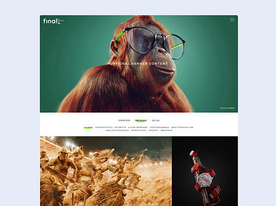 Final Visuals graphic design monkey ui ux website