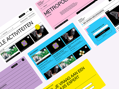 European City of Science - Leiden2022 branding design festival homepage mobile ui ux ux design webdesign